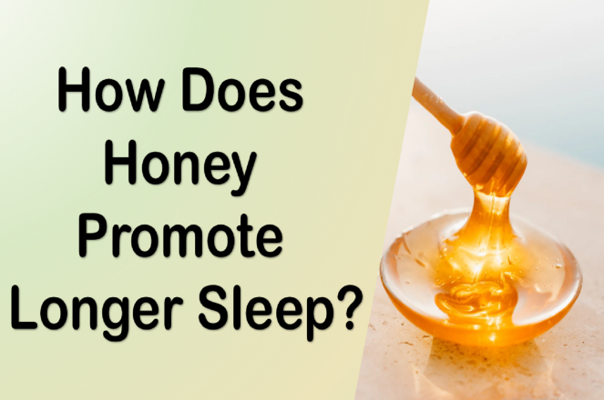 How Does Honey Promote Longer Sleep?